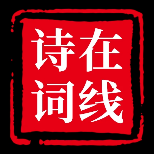 mmexport1744976742513.jpg