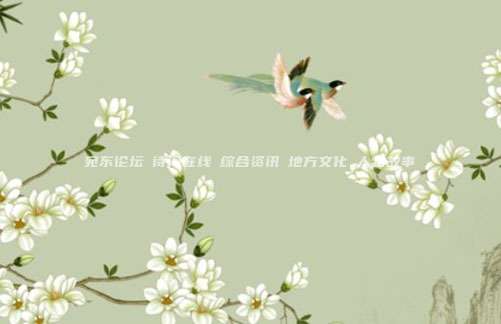 宛东论坛♦诗词在线♦综合资讯♦地方文化♦人物故事