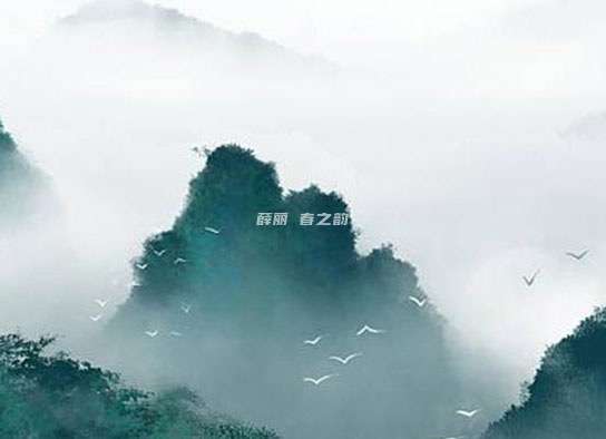 薛丽♦春之韵